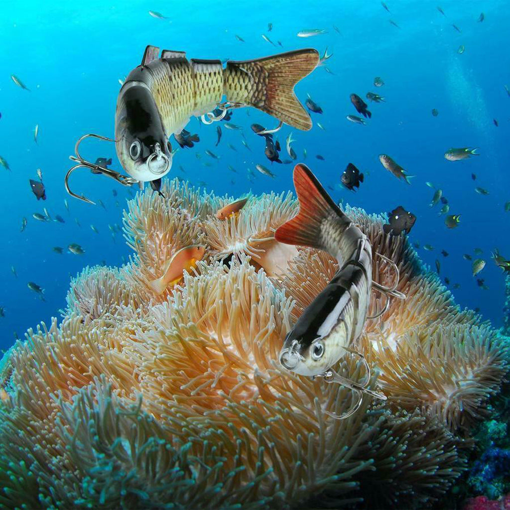Fishing Bait